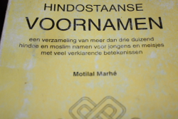 moti3(1).JPG